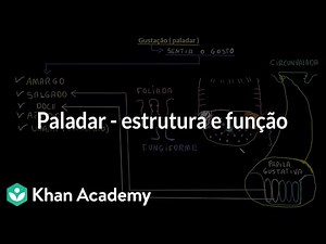 Taste - structure and function