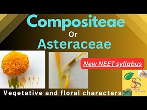 Asteraceae or Compositeae Family characters, Floral formula and floral diagram/ NEET new syllabes