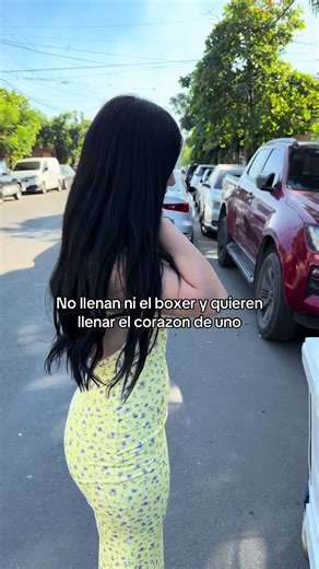 Chistosos🤣 | boxer