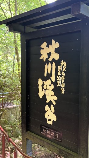 秋川渓谷のおすすめ散策｜ゆったり過ごせる土曜の自然スポット