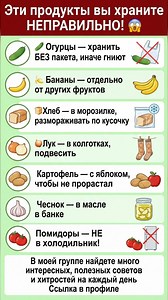 Группа тут 👉 https://t.me/ lALhSoQrQFEwZTgy Как правильно хранить продукты и избежать их порчи? Узнайте секреты: огурцы без пакета, бананы отдельно от других фруктов, а хлеб лучше замораживать по кусочкам. Лук подвешивайте в колготках, а картофель держите с яблоками. Чеснок сохраняют в масле, а помидоры не любят холодильник. Эти советы помогут дольше сохранять свежесть продуктов! #советы #продукты #лайфхаки | Кудрявый дневник