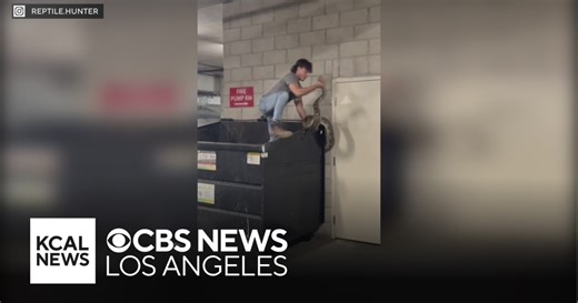 20-foot python wrangled out of dumpster in downtown LA apartment complex