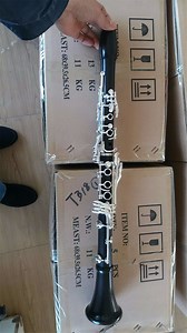 [Hot Item] 18keys Professional Wooden Clarinet, Cheap Clarinet