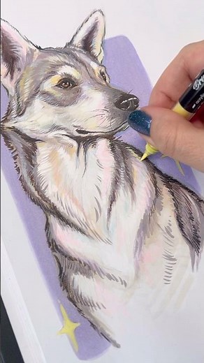 Process of Drawing a Dog With Acrylic Markers 🫟 ‪@karinmarkers‬