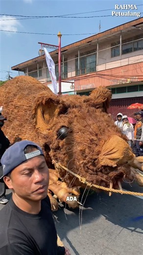 Unique Animals at the Ambarawa Cultural Carnival.😁 #independenceday