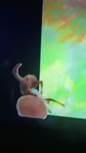 Lon Po Po falling but I used the Foreman Pig scream sound