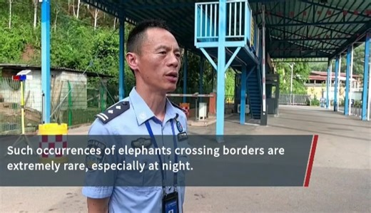 Wild elephant wanders through south China border crossing, heads towards Laos A wild adult Asian elephant was recorded swaggering through a border crossing in southwest China's Yunnan Province, heading towards Laos. | BastilleGlobal