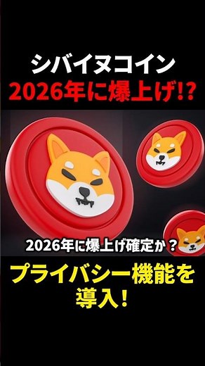 【柴犬コイン（SHIB）】来年ついに爆上げか？！超大型アップデート実装か！？