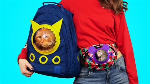 DIY animal friendly pet carrier bags