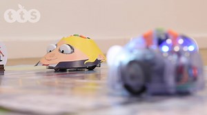 Exclusive to TTS, our award winning, own developed Bee-Bot and Blue-Bot have had a makeover! Watch the video below explaining the key enhancements to our classroom favourites with all NEW mats and compatible cross-curricular resources available to view here: https://www.tts-group.co.uk/Hero-BeeBot.html Share your Bee-Bot adventures with us on our social channels – we would love to see how you use him in your classroom or setting. #BeeBot | TTS Resources