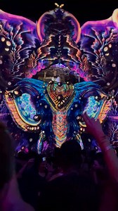Boom Shankar @ VER Festival in Goa 🌴 Visuals by VJ VACÃO #boomshankar #verfestival #goa | Trancentral