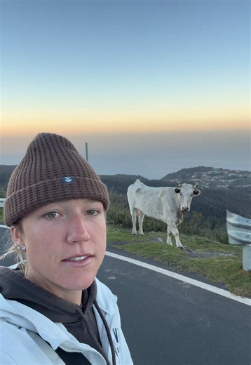 Driving early morning down the mountain in Madeira and had to pull over to say good morning to the homies