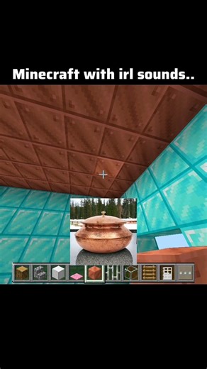 Minecraft With IRL Sound (19)