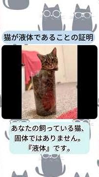 猫は液体 #猫 #イグノーベル賞