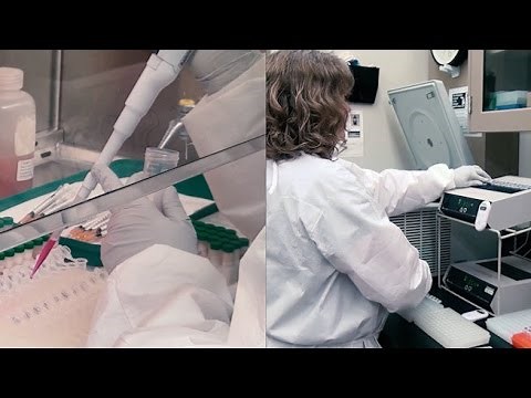 Testing Deer for Chronic Wasting Disease (CWD)