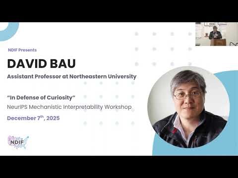 "In Defense of Curiosity" with David Bau (NeurIPS 2025 Mech Interp Workshop)