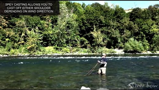 Blog - Spey vs Switch Rods | Silver Bow Fly Shop