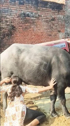 #TIMELAPSE START to FINISH Alone BUILD LOG Cabin (Wooden House), How To BUILD Wooden Cabin, Life