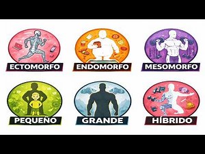 Todas las ventajas evolutivas ocultas de tu tipo de cuerpo explicadas