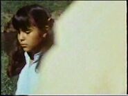 Cinderella A Lesson In Compromise