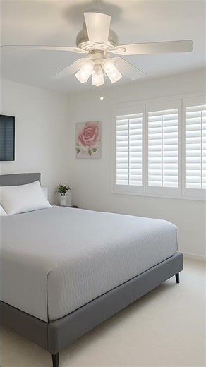 Dunedin Real Estate Agent