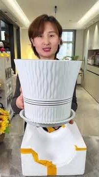 Flowerpot: DIY Magic in Your Home