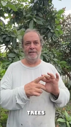 Before You Buy a Fruit Tree… Watch This
