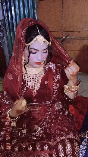 Traditional South Asian Bridal Attire Showcase