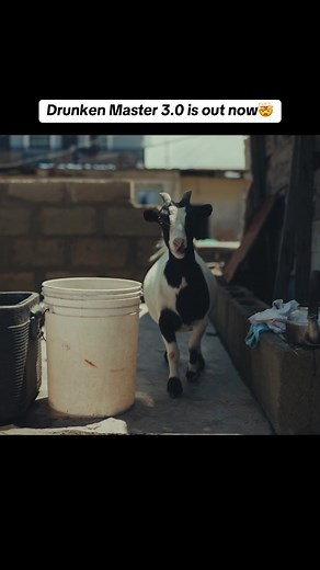 Drunken Master 3.0 Challenge - Win $1 Million if You Defeat Him