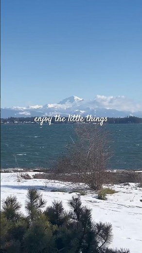 Enjoy The Little Things Around Bellingham, WA