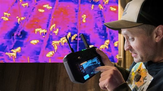 Seeing our farm’s wildlife in action with a thermal drone