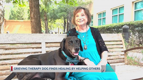 Grieving therapy dog finds new purpose after loss of beloved owner
