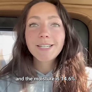 Hauling Corn With Our Peterbilt For The First Time! 🚚