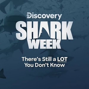 16K views · 52 reactions | Tune into Shark Week and learn a LOT more about sharks! 麗 Starts Monday - August 17th at 22:35. | Discovery Channel Africa | Facebook