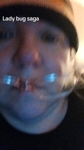 So I have a lady bug in my room. I thought she was a gonner cause I hadn't seen her in a couple of days. Nope she showed up last night. I hope she makes it till spring. #snowstorm #2026vibes #ladybug