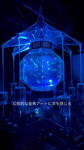 夏のアートアクアリウム2026 #東京 #tokyo#アート #アートアクアリウム#金魚ミュージアム