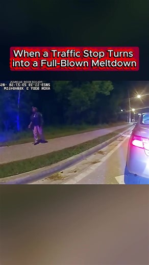 When a Traffic Stop Turns into a Full-Blown Meltdown #cops #copsoftiktok #police