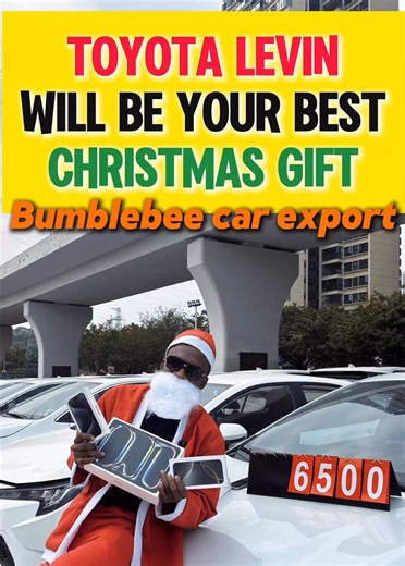 Merry Christmas~🎄 All i need is Toyota Levin!🚗 Buy cars from me I will gift you ipad/iPhone!📱🌍 #toyota #usedcar #carexport #secondhandcar #africa
