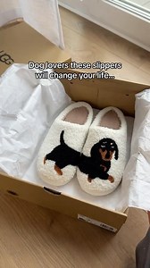 162K views · 1.1K reactions | The best Valentine’s gift doesn’t exist♥️ . Order yours from the link in our bio  @dachshundparty #dachshund #tekel #wienerdog #dachshundpuppy #sausagedog #dachsundsofinstagram #dachshundlove #dachshundpuppies | Dachshund Party | Facebook