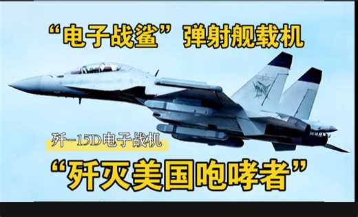 颜值高的战机，战术很强！歼-15D电子战机。弹射舰载机