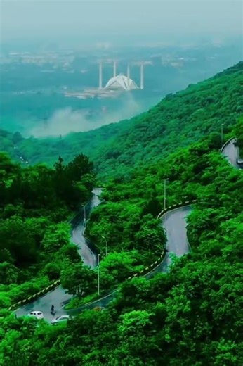 Soothing Green Scenery with Gentle Stream Sounds to Reduce Stress