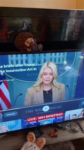 BUZZKILL73 (@buzzkill1973)’s videos with original sound - BUZZKILL73