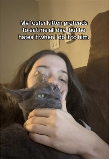 My favorite way to procrastinate the impending doom of finals week is harassing kittens. #fosterkittens