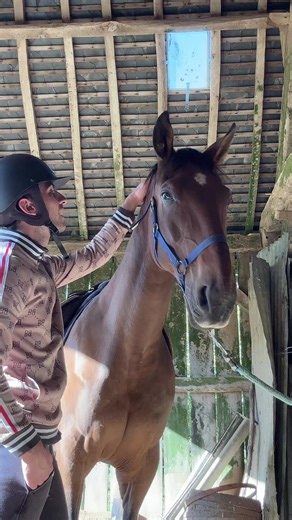 #pourtoi #gay #encouple #mariage dans 2 semaines la famille s’agrandit 🥰❤️