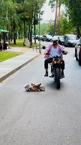 2.1M views · 25K reactions | Kindness in the Park: A Heartwarming Gesture | Fabiosa - Live easy | Facebook