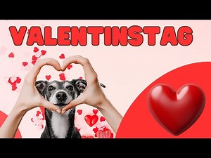 Valentine's Day Song | Song for Valentine's Day with lyrics to sing along to
