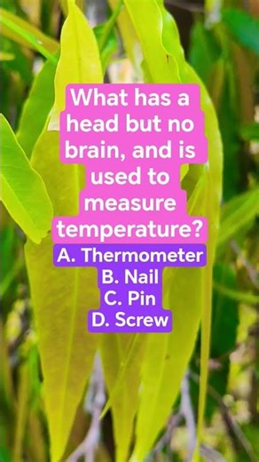 What has a head but no brain, and is used to measure temperature?