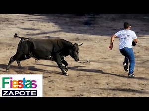 COSTA RICA BULL FIGHTING | THE BULL ALWAYS WINS | Fiestas Zapote!