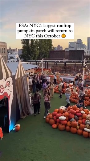 NYC's Largest Rooftop pumpkin patch Returns to NYC 🎃 Locally harvested pumpkins 🏹 Scarecrow archery 💥 Pumpkin-smashing zone 🍁 Fall flavored treats | New York Bucket List