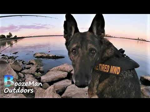 How to Catch TONS of Trout! Fishing Lake Ashurst Arizona. Camp and Cook.
